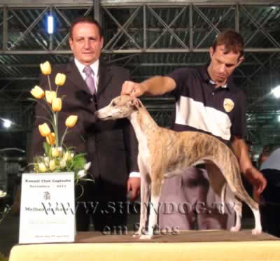 Clique sobre a foto para fechar